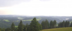 Archiv Foto Webcam Schwarzwald - Brendturm 15:00