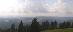 Archiv Foto Webcam Schwarzwald - Brendturm 13:00