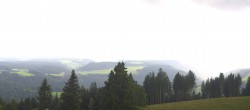 Archiv Foto Webcam Schwarzwald - Brendturm 17:00