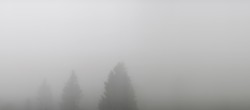 Archiv Foto Webcam Schwarzwald - Brendturm 05:00