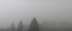 Archiv Foto Webcam Schwarzwald - Brendturm 06:00