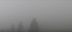 Archiv Foto Webcam Schwarzwald - Brendturm 08:00