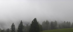 Archiv Foto Webcam Schwarzwald - Brendturm 11:00