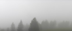 Archiv Foto Webcam Schwarzwald - Brendturm 08:00