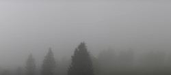 Archiv Foto Webcam Schwarzwald - Brendturm 09:00