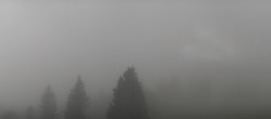 Archiv Foto Webcam Schwarzwald - Brendturm 11:00