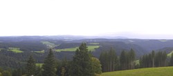 Archiv Foto Webcam Schwarzwald - Brendturm 17:00