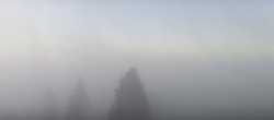 Archiv Foto Webcam Schwarzwald - Brendturm 07:00