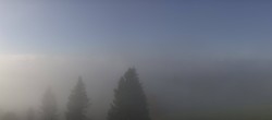 Archiv Foto Webcam Schwarzwald - Brendturm 09:00