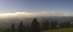 Archiv Foto Webcam Schwarzwald - Brendturm 11:00