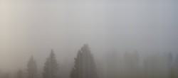 Archiv Foto Webcam Schwarzwald - Brendturm 07:00