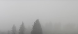 Archiv Foto Webcam Schwarzwald - Brendturm 09:00