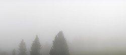 Archived image Webcam Black Forest - Brend Tower 13:00