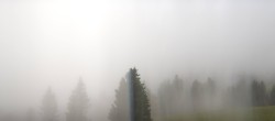 Archived image Webcam Black Forest - Brend Tower 15:00