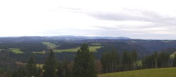 Archiv Foto Webcam Schwarzwald - Brendturm 11:00