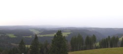 Archiv Foto Webcam Schwarzwald - Brendturm 07:00