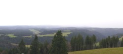Archiv Foto Webcam Schwarzwald - Brendturm 08:00