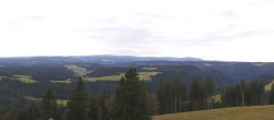 Archiv Foto Webcam Schwarzwald - Brendturm 10:00