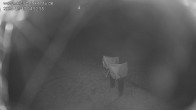 Archiv Foto Webcam Falkenau 03:00