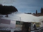 Archived image Webcam Hiking Area Hebalm - Styria 09:00