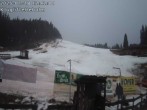 Archiv Foto Webcam Wandergebiet Hebalm - Steiermark 11:00