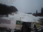 Archiv Foto Webcam Wandergebiet Hebalm - Steiermark 13:00