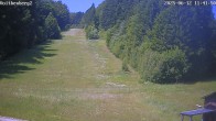 Archiv Foto Webcam Voithenberg bei Furth im Wald 11:00