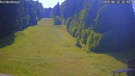 Archiv Foto Webcam Voithenberg bei Furth im Wald 15:00