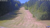 Archiv Foto Webcam Voithenberg bei Furth im Wald 11:00