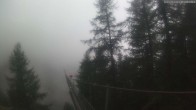 Archived image Webcam Grächen - View Suspension Bridge Charles Kuonen 08:00