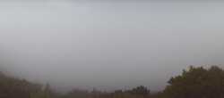 Archiv Foto Webcam Blick auf die Donau vom Penzenstein 05:00