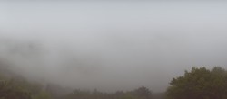 Archiv Foto Webcam Blick auf die Donau vom Penzenstein 07:00