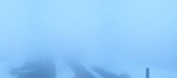 Archived image Webcam Panoramic view Ehrwalder Alm 05:00