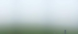 Archiv Foto Webcam Rundblick Ehrwalder Alm 07:00