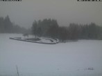 Archiv Foto Webcam Thurnerspur - St. Peter und St. Märgen 15:00