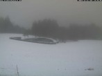 Archived image Webcam View over St. Peter and St. Märgen Thurnerspur 13:00