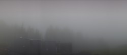 Archived image Webcam Bad Kohlgrub - Mt. Zeitberg 05:00