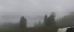 Archiv Foto Webcam Fassatal: Pian Pecei-Pra Martin 11:00