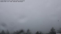 Archiv Foto Webcam Großer Feldberg im Taunus 11:00