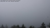 Archiv Foto Webcam Großer Feldberg im Taunus 17:00