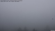 Archiv Foto Webcam Großer Feldberg im Taunus 11:00
