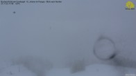 Archiv Foto Webcam Buchau-Hütte am Gernkogel - St. Johann 10:00