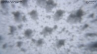 Archiv Foto Webcam Goldbergkees - Südost 09:00