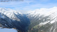 Archived image Webcam Tristner/ Zillertal - View to Grinberg 07:00