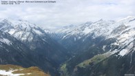 Archiv Foto Webcam Tristner/ Zillertal - Blick zum Grinberg 09:00