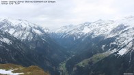 Archiv Foto Webcam Tristner/ Zillertal - Blick zum Grinberg 11:00