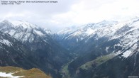 Archiv Foto Webcam Tristner/ Zillertal - Blick zum Grinberg 13:00