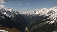 Archiv Foto Webcam Tristner/ Zillertal - Blick zum Grinberg 18:00