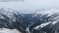 Archiv Foto Webcam Tristner/ Zillertal - Blick zum Grinberg 11:00