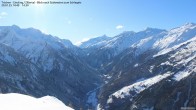 Archiv Foto Webcam Tristner/ Zillertal - Blick zum Grinberg 13:00